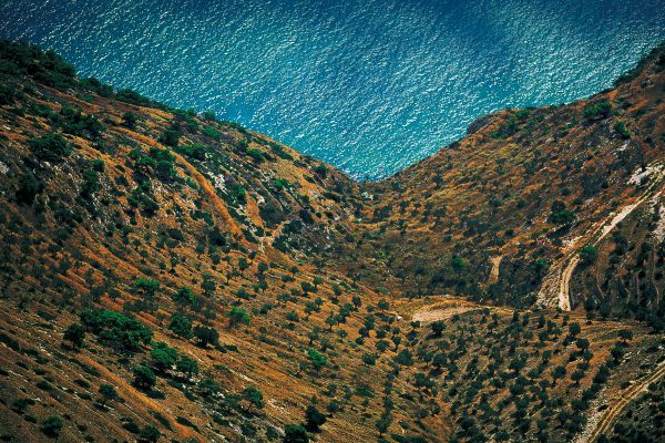 Monte Saraceno - Vista dell'Adriatico