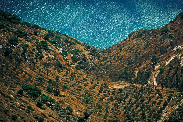 Monte Saraceno - Vista dell'Adriatico